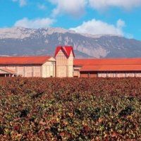 Partner An Unforgettable Tasting on the Ebro River Bank photo